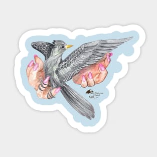 Bird in the Hand Veterinary exotic birds hands woman girl female feminine grey songbird nature lover loves avian Sticker